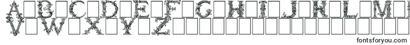 BurgoyneInitials Font – Fonts for Corel Draw