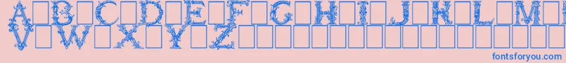 BurgoyneInitials Font – Blue Fonts on Pink Background