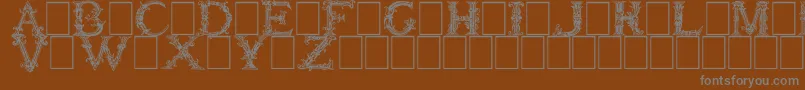 BurgoyneInitials Font – Gray Fonts on Brown Background