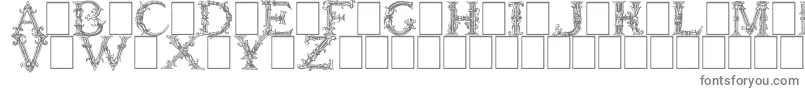 Weitere Informationen zur BurgoyneInitials-Schriftart BurgoyneInitials-Schriftart – Graue Schriften auf weißem Hintergrund