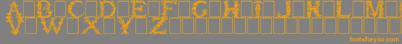 BurgoyneInitials Font – Orange Fonts on Gray Background