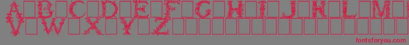 フォントBurgoyneInitials – 赤い文字の灰色の背景