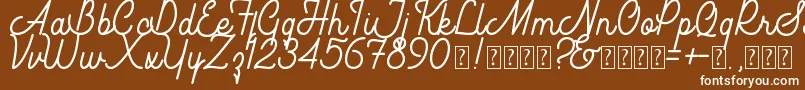 Southfilla Demo Font – White Fonts on Brown Background