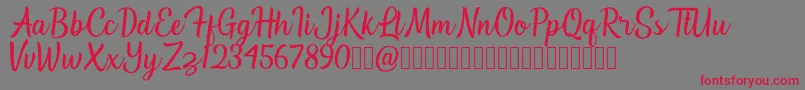 Southville Demo Font – Red Fonts on Gray Background