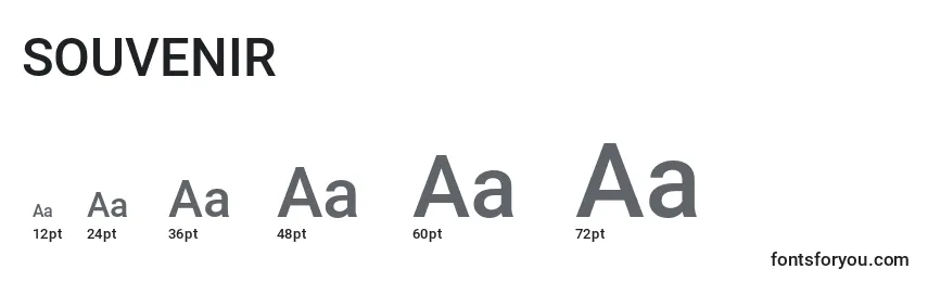 Размеры шрифта SOUVENIR (141506)