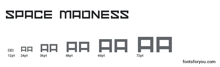 Размеры шрифта Space Madness