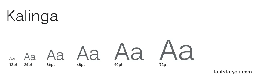 Kalinga Font Sizes