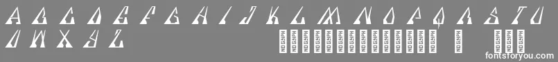 Specere Regular Font – White Fonts on Gray Background