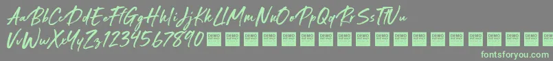 Special Request   Demo Font – Green Fonts on Gray Background