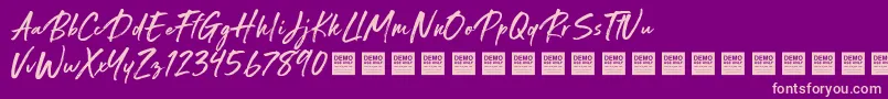 Special Request   Demo Font – Pink Fonts on Purple Background