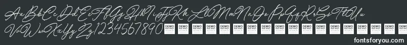 Special Touch   Demo Font – White Fonts on Black Background