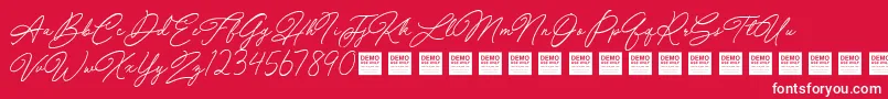 Special Touch   Demo Font – White Fonts on Red Background