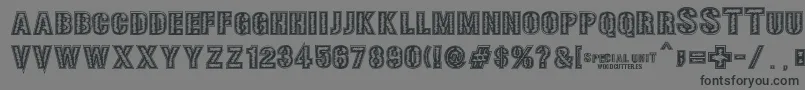 SPECIAL UNIT Font – Black Fonts on Gray Background