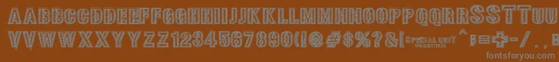 Weitere Informationen zur SPECIAL UNIT-Schriftart SPECIAL UNIT-Schriftart – Graue Schriften auf braunem Hintergrund