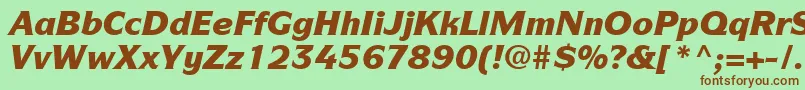 ItcSymbolLtBlackItalic Font – Brown Fonts on Green Background