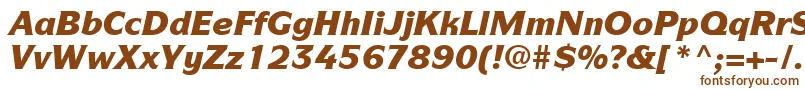 ItcSymbolLtBlackItalic Font – Brown Fonts on White Background