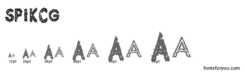 Размеры шрифта SPIKCG   (141636)