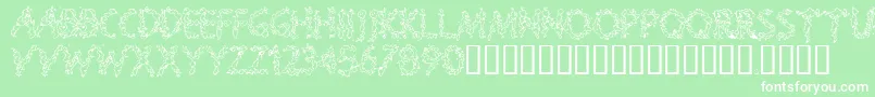 SPLOOGE  Font – White Fonts on Green Background