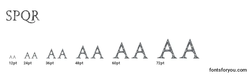 Размеры шрифта Spqr (141700)