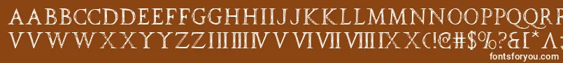 Шрифт spqr – белые шрифты на коричневом фоне