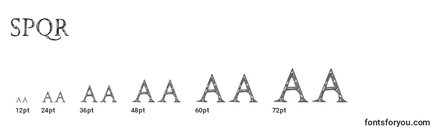 Размеры шрифта Spqr (141701)