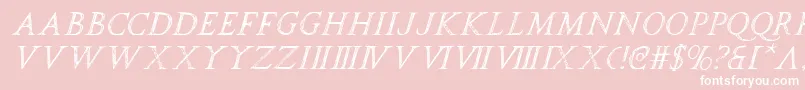 spqri Font – White Fonts on Pink Background