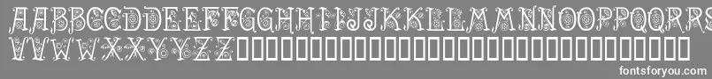 Spring Font – White Fonts on Gray Background