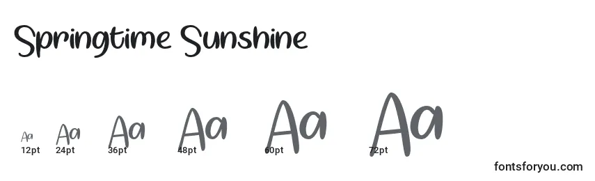 Размеры шрифта Springtime Sunshine  