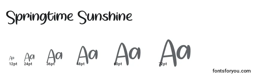 Größen der Schriftart Springtime Sunshine   (141719)