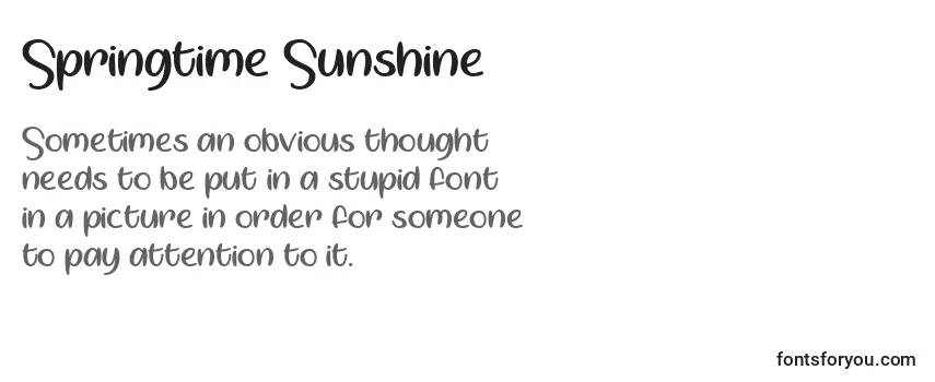 Шрифт Springtime Sunshine   (141719)