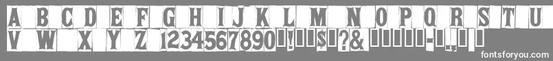 SPRIT    Font – White Fonts on Gray Background