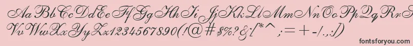 フォントAsylbekm02shelley.Kz – ピンクの背景に黒い文字