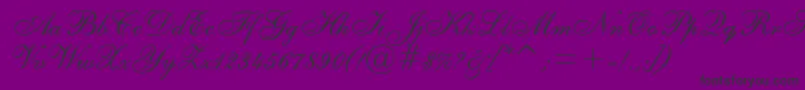 Asylbekm02shelley.Kz-Schriftart – Schwarze Schriften auf violettem Hintergrund