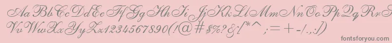 Asylbekm02shelley.Kz Font – Gray Fonts on Pink Background