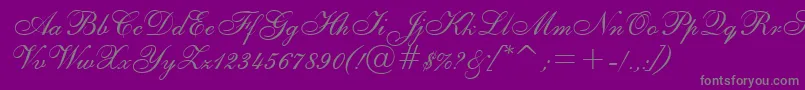 Asylbekm02shelley.Kz Font – Gray Fonts on Purple Background