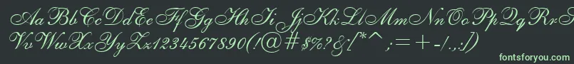 Asylbekm02shelley.Kz Font – Green Fonts on Black Background