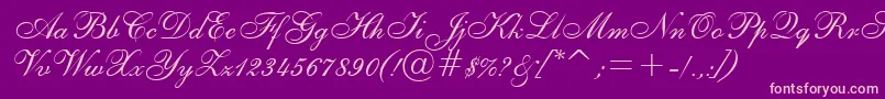 Asylbekm02shelley.Kz Font – Pink Fonts on Purple Background