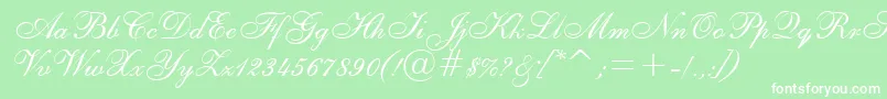 Asylbekm02shelley.Kz Font – White Fonts on Green Background