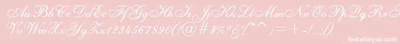 Asylbekm02shelley.Kz-Schriftart – Weiße Schriften auf rosa Hintergrund