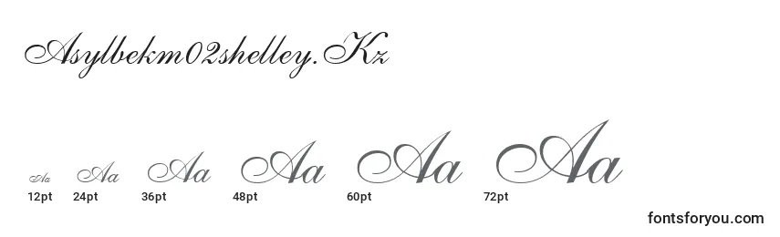 Asylbekm02shelley.Kz Font Sizes