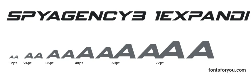 Spyagency3 1expandital Font Sizes