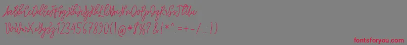 Squadwife Free Font – Red Fonts on Gray Background