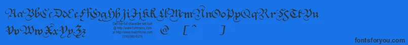 SQUATT  -Schriftart – Schwarze Schriften auf blauem Hintergrund