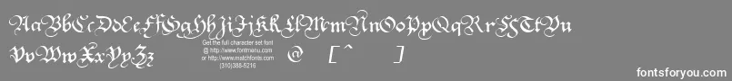 フォントSQUATT   – 灰色の背景に白い文字