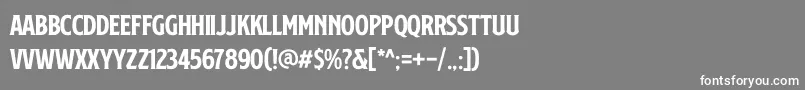 フォントSS Nickson One – 灰色の背景に白い文字