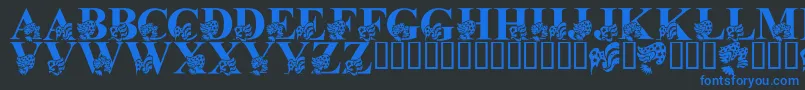 LmsAmericaLsf Font – Blue Fonts on Black Background