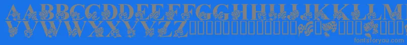 LmsAmericaLsf Font – Gray Fonts on Blue Background