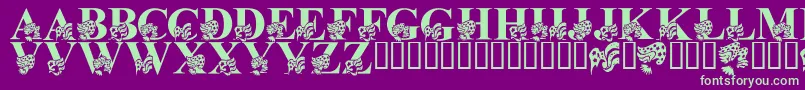 LmsAmericaLsf Font – Green Fonts on Purple Background