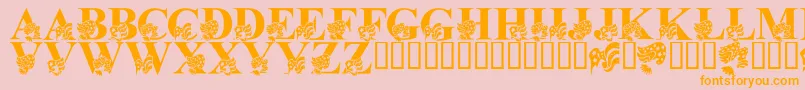 fuente LmsAmericaLsf – Fuentes Naranjas Sobre Fondo Rosa