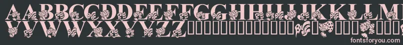 LmsAmericaLsf Font – Pink Fonts on Black Background